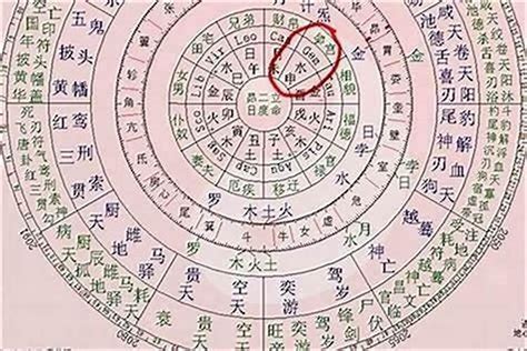 天公子的八字命格|八字算命器